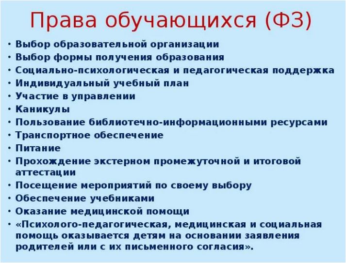 Обучаться по индивидуальному учебному плану это права или обязанности